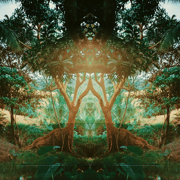 Prints/Be Good Tree