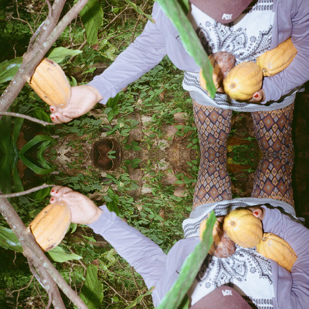 Prints/Tita Judith's Cacao Beans